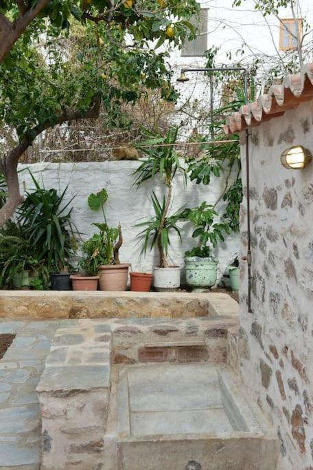 הידרה Sterna Apartment מראה חיצוני תמונה